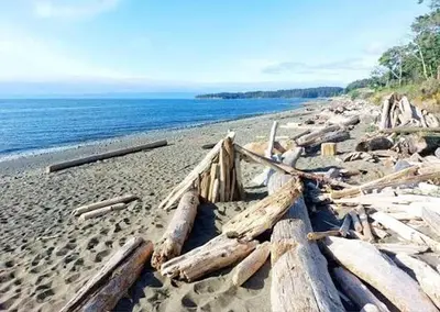 a pile of logs on a beach near the water at Royal Bay Guest Suite in Victoria