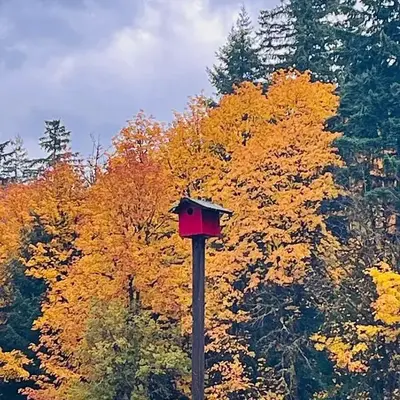 Maple Woods B&B