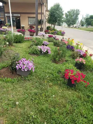 a garden of flowers in front of a building at Dockside Inn in Cold Lake