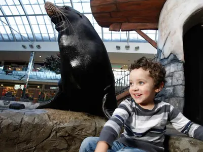 a young boy sitting next to a seal in a museum at West Edmonton Mall Inn in Edmonton