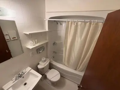 a bathroom with a sink and a toilet and a shower at Airport Chalet in Whitehorse