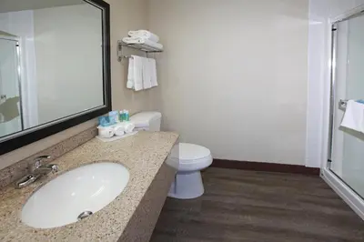 a bathroom with a sink and a toilet and a mirror at Holiday Inn Express Hotel & Suites Vernon by IHG in Vernon