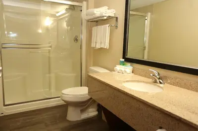 a bathroom with a toilet and a shower and a sink at Holiday Inn Express Hotel & Suites Vernon by IHG in Vernon