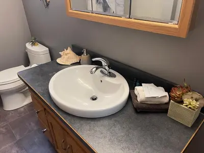 a bathroom with a sink and a toilet at Blaeberry Valley Vacation Rentals in Golden