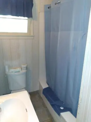 a bathroom with a blue shower curtain and a toilet at AppleTree Inn in Radium Hot Springs