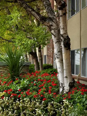 a bed of flowers in front of a building at Royal Scot Hotel & Suites in Victoria