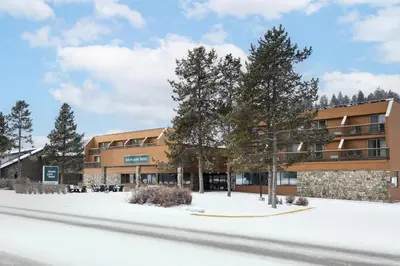 a building in the snow with trees in front of it at Forest Park Hotel in Jasper