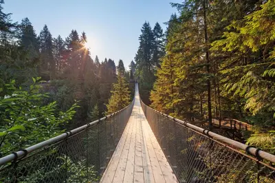 a suspension bridge in the middle of a forest at Holiday Inn & Suites North Vancouver by IHG in North Vancouver