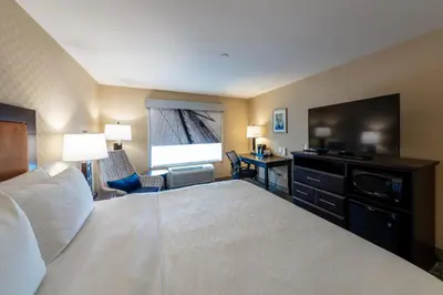 a hotel room with a large bed and a desk at Holiday Inn Express & Suites Riverport Richmond by IHG in Richmond