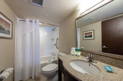 a bathroom with a sink and a toilet and a mirror at Holiday Inn Express & Suites Riverport Richmond by IHG in Richmond