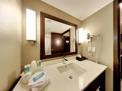 a bathroom with a sink and a mirror at Holiday Inn Express Hotel & Suites - Edmonton International Airport by IHG in Nisku