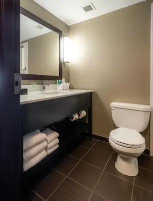 a bathroom with a toilet and a sink and a mirror at Holiday Inn Express Hotel & Suites - Edmonton International Airport by IHG in Nisku