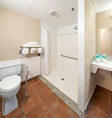 a bathroom with a toilet and a shower at Holiday Inn Express Red Deer by IHG in Red Deer