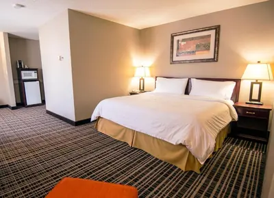 a hotel room with a large bed and two lamps at Holiday Inn Express Red Deer by IHG in Red Deer
