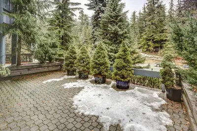 Gallery image of Glacier Lodge in Whistler