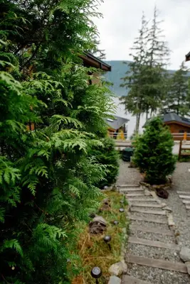 a garden with a stone path next to trees at Fish Tales Cottage in Port Renfrew