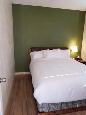 a bed in a room with a green wall at Sun Plaza Motel in Sundre