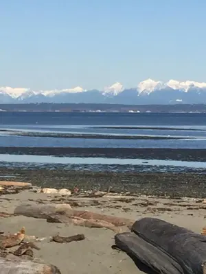 a view of the ocean with mountains in the background at A Room at the Camelia Bed and Breakfast in Tsawwassen