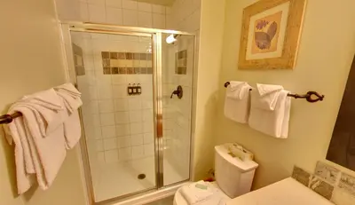 a bathroom with a shower and a toilet at Embarc Panorama in Panorama