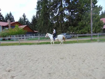 a person riding a white horse in the sand at Paradise Acres Ranch in Nanoose Bay