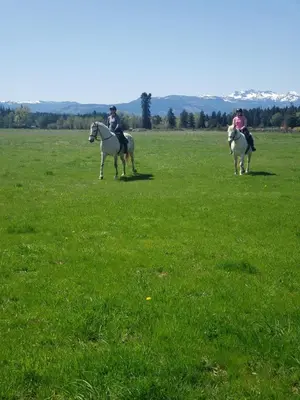 two people riding horses in a field of grass at Paradise Acres Ranch in Nanoose Bay