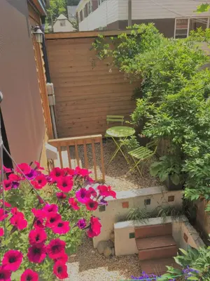 a garden with flowers and a bench and a fence at Cloudside Hotel in Nelson