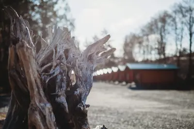 a close up of a piece of wood at Port Hardy Cabins in Port Hardy