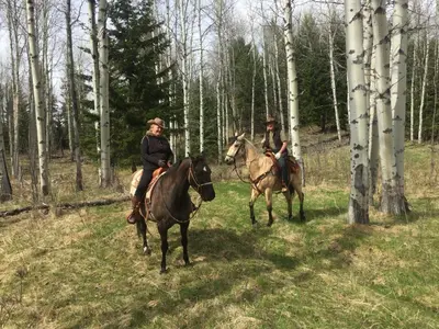 two people riding horses in a field with trees at Montana Hill Guest Ranch in Bridge Lake