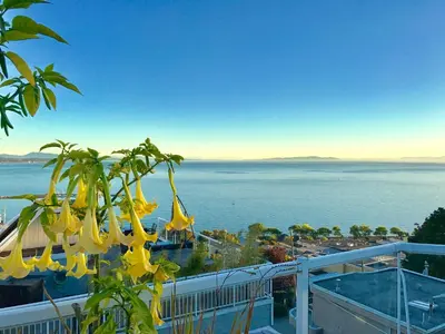 a view of the water from a balcony with yellow flowers at Donna's Bed & Breakfast in White Rock