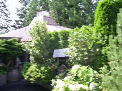 a house obscured by bushes with a roof at Garden House in Courtenay