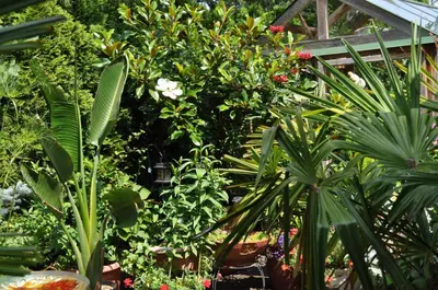 a garden with many different plants and flowers at Garden House in Courtenay