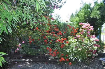 a garden filled with colorful flowers and plants at Garden House in Courtenay