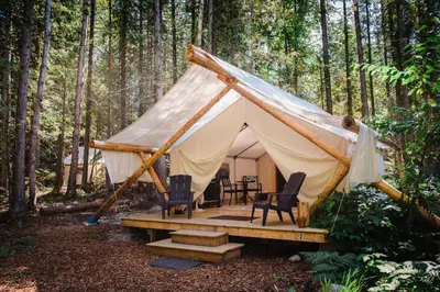 a tent with chairs and a table in the woods at Cedar Haven Cabins and Resort in Clearwater