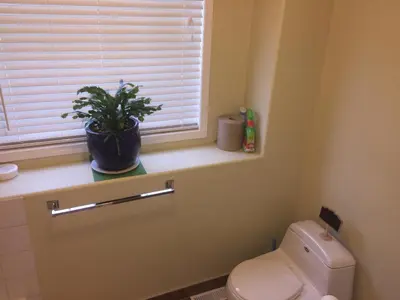 a bathroom with a toilet and a plant on a window sill at Brother Li Homestay in Calgary