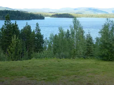 a view of a large body of water with trees at Little Black Bear Lodge/B&B in Bridge Lake