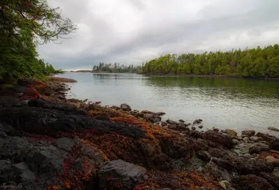 a large body of water with rocks and trees at Waterfront Timber-Frame Cottage! in Ucluelet