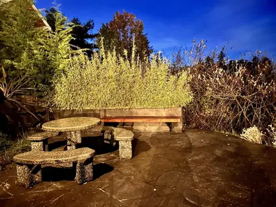 a picnic table and bench in a garden at Private Oceanfront Cabin With Hot Tub Doc Holiday Cabin in Ucluelet