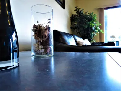 a glass vase filled with rocks sitting on a table at RANCHLAND Inn in Nanton