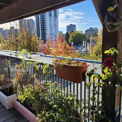 a balcony with flowers and a pot on a fence at Times Square Suites Hotel in Vancouver