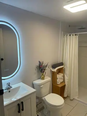 a bathroom with a toilet and a sink and a mirror at Nanimahoo's Sled N'Bed in Malakwa