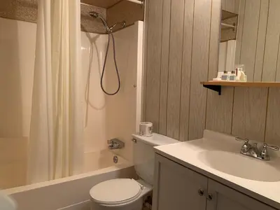 a bathroom with a toilet and a sink and a shower at Green View Motel and RV Park in Greenwood