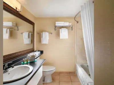 a bathroom with a sink and a toilet and a mirror at Huntingdon Hotel and Suites in Victoria