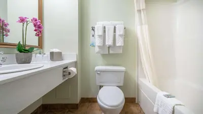 a bathroom with a toilet and a sink at Service Plus Inns and Suites Calgary in Calgary