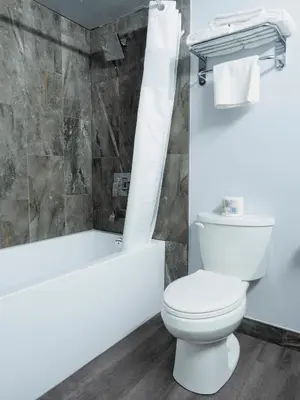a bathroom with a white toilet and a bath tub at Argyll Plaza Hotel in Edmonton
