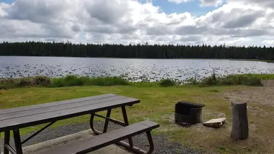 a picnic table and a grill next to a lake at Sea Raven Motel in Queen Charlotte