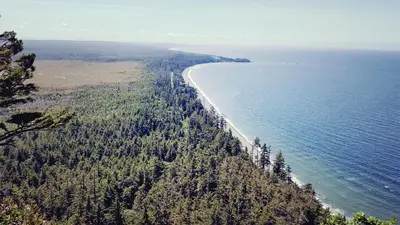 an aerial view of a beach and the ocean at Sea Raven Motel in Queen Charlotte