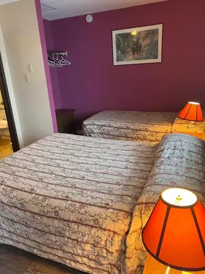 two beds in a room with purple walls and two lamps at Sea Raven Motel in Queen Charlotte