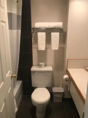 a bathroom with a toilet and a sink and towels at Bear Country Inn in Terrace