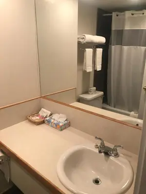 a bathroom counter with a sink and a mirror at Bear Country Inn in Terrace