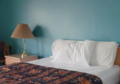 a bed with a pillow and a lamp on a table at Trans Canada Motel in Kamloops
